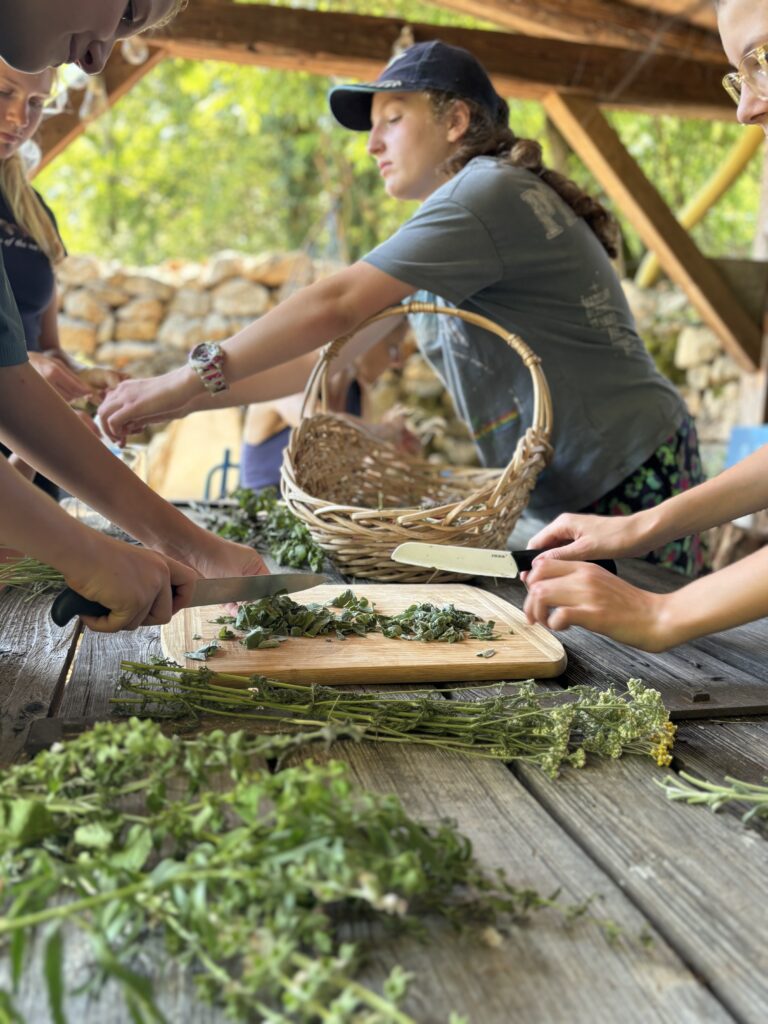 Scented Aerial Holidays – moments from the camp