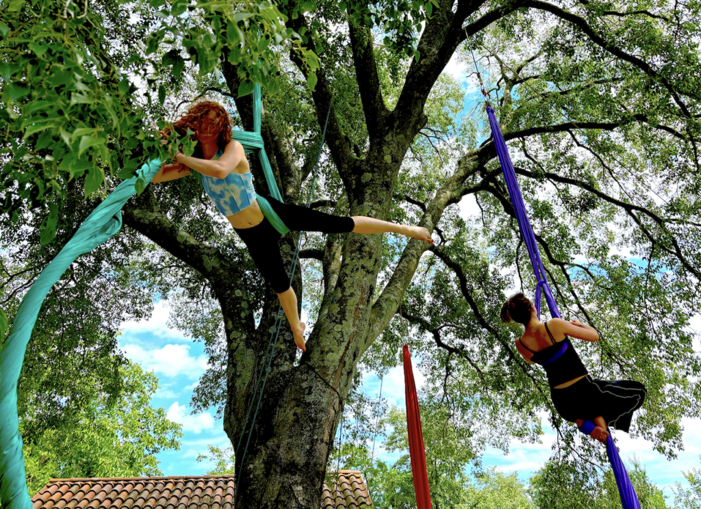 Aerial silks in the tree – Scented Aerial Holidays